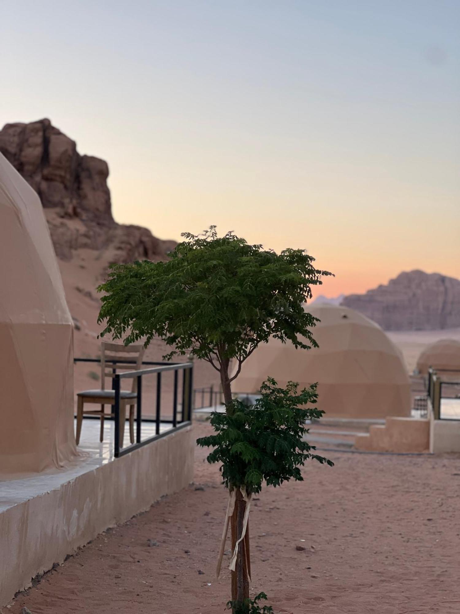 Magic Mountain Camp Lejlighed Wadi Rum Eksteriør billede